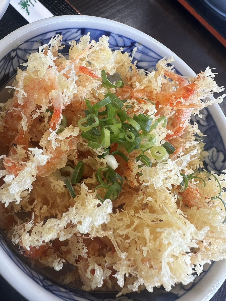 shorejiggingkh's tweet photo. 桜海老かき揚げ丼
サクサクでうまかった👍 https://t.co/3SGYvGsZwA