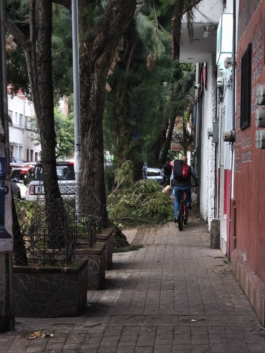 SusejPena's tweet photo. @mauriciotabe @AlcaldiaMHmx @OVIALCDMX @MHcesac todos los días  mañana y  tarde se suben a la banqueta de lago Patzcuaro entre laguna de Tamihauac y laguna del Carmen MOTOS, BICIS Y BICIS ELÉCTRICAS con insultos quieren que te quites. HAGAN ALGO YA!!! https://t.co/7pr2MkzA07