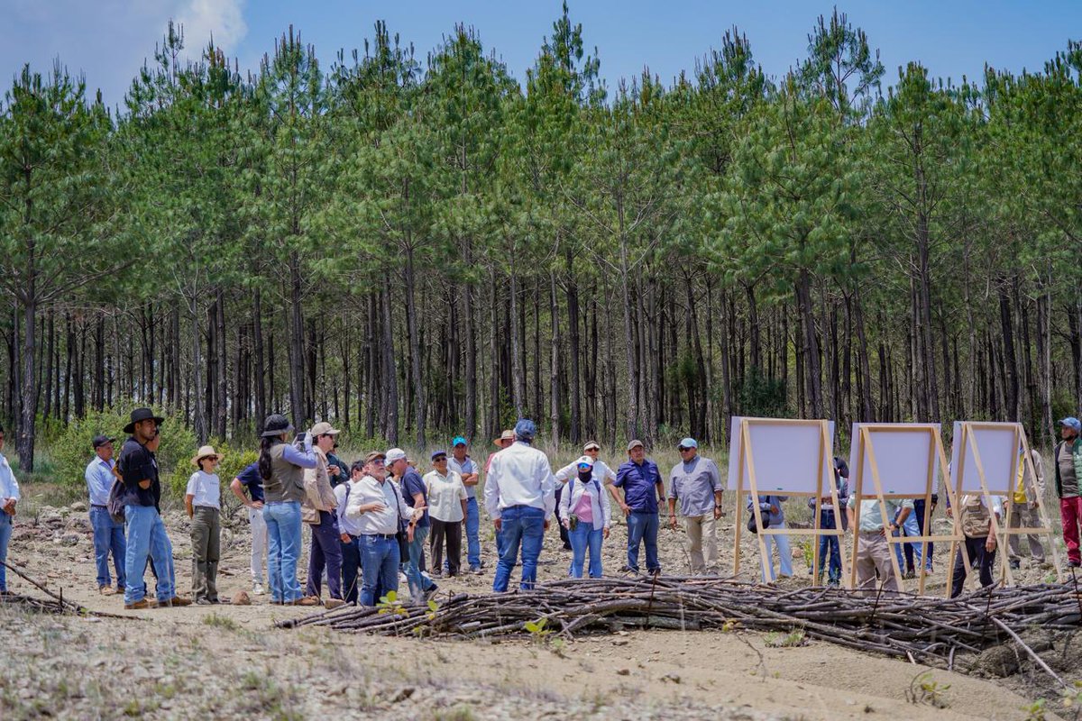 ONUMX's tweet photo. Los eventos climáticos extremos golpean cada vez más a los pequeños productores rurales. Invertir en resiliencia climática es clave para proteger medios de vida y fortalecer a las comunidades rurales.
📑Lee la Columna de Rocío Medina Bolívar @IFADespanol : https://t.co/76DZR6ZCr2 https://t.co/tjskMLhX2z