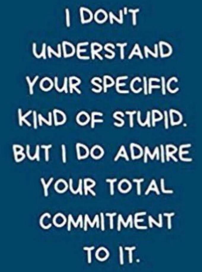 JTStonehawk's tweet photo. @mattvanswol https://t.co/2g9EkUjzx4