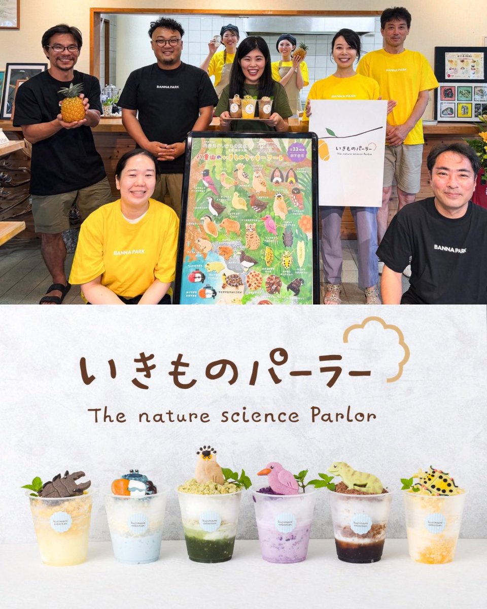 banna_park's tweet photo. 🎉 本日よりバンナ公園に「いきものパーラー」オープン！

おいしく楽しみながら、
生きものを知る。
ちょっと興味を持つ。
気づけば好きになっている。

もちろんドリンクやクッキーも普通においしい🍪✨

公園散策の途中に、気軽にお立ち寄りください😊

#石垣島 https://t.co/zwWyFfD879