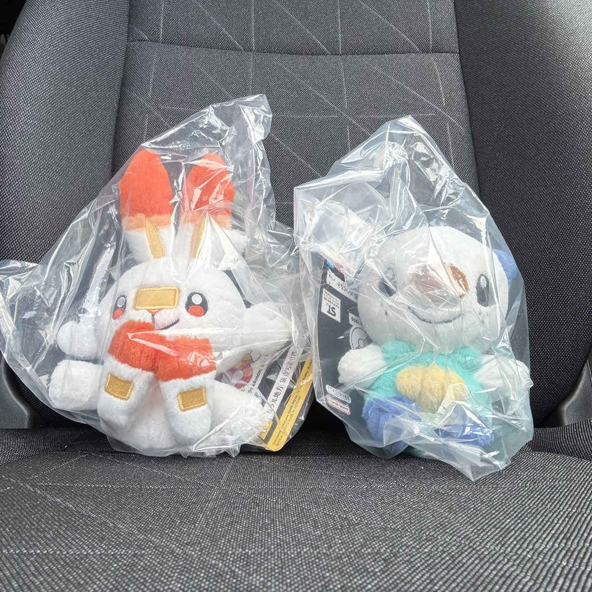 dottenten's tweet photo. #一番くじポケモン　30th pt2 
譲　ぬいぐるみ　ミジュマル　か　ヒバニー　
求　ぬいぐるみ　ホゲータ
#一番くじ交換　#交換

リプライでご連絡ください https://t.co/LDcST4HX0v