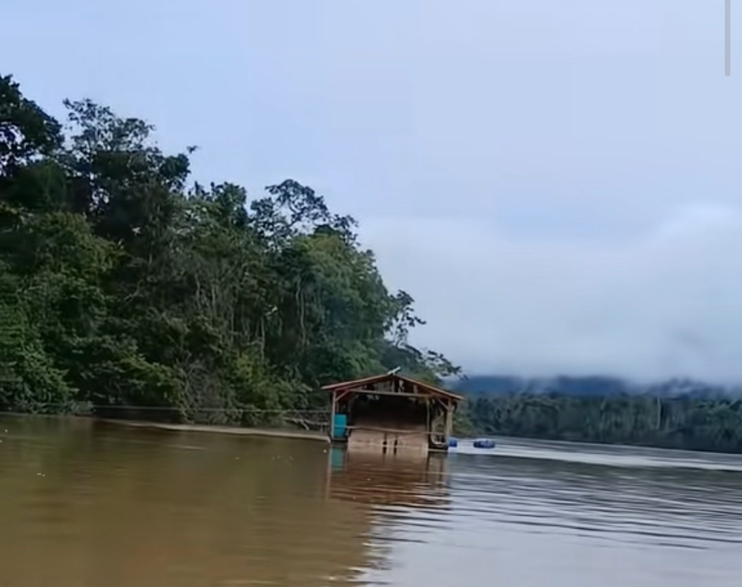 Fritz_A_Sanchez's tweet photo. 🚨 El río Caroní, la principal cuenca hidrográfica q alimenta a la red d Centrales Hidroeléctricas d #Venezuela, sigue siendo degradada, destruida, x una actividad extractivista ilegal q a ninguna autoridad gubernamental le interesa detener x el bien del país ! 

#SurDelOrinoco https://t.co/XlYfyK1jNx