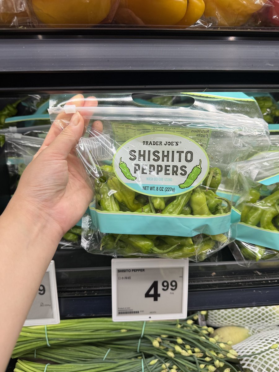 t_angsty's tweet photo. can someone in supply chain please explain why there are trader joe's shishito peppers for sale at T&amp;T in Markham Ontario Canada https://t.co/n4oCNHt44D