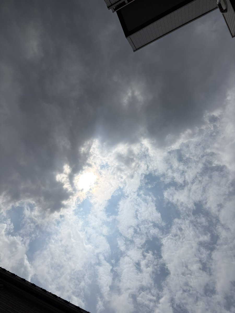 wuneng50's tweet photo. おはようございます☁️
スロージョギング&amp;ウォーキング
9:43-10:15

気温はそうでもないが湿気で滝汗💦
不安定な空に暗渠猫🐈

#ダイエット #有酸素運動 
#暗渠 #神社 
#イマソラ https://t.co/vtRGsLgeAl