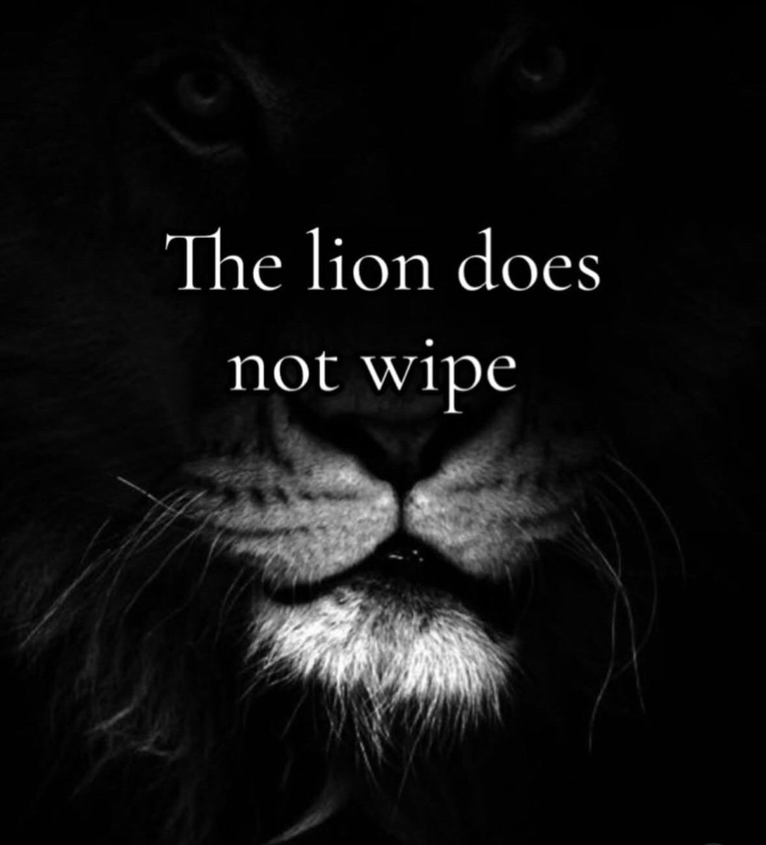 deviantyout's tweet photo. @DUDEwipes https://t.co/r3MLVXpeuT