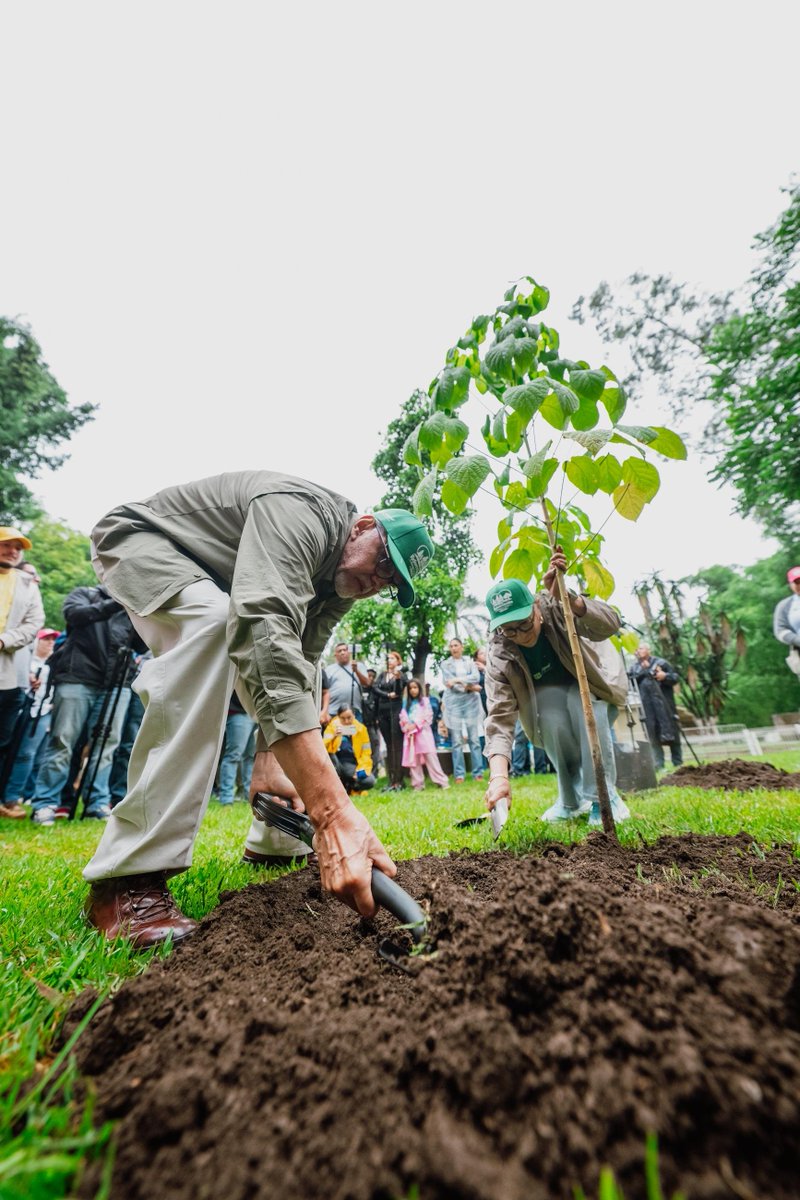 MiguelANavarroQ's tweet photo. Junto a mi esposa, la doctora Beatriz Estrada Martínez, encabezamos la Reforestación 2026 en el parque La Loma, en Tepic. Gracias a quienes participaron en esta jornada; cada árbol sembrado representa un compromiso con el futuro y con un Nayarit más verde. https://t.co/gQ6odiU9Yz