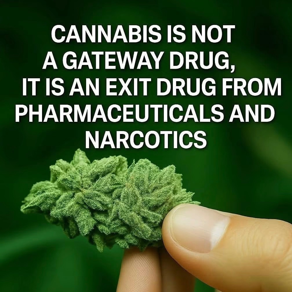 _StonersRUs_'s tweet photo. https://t.co/M6Ve5vCWuW