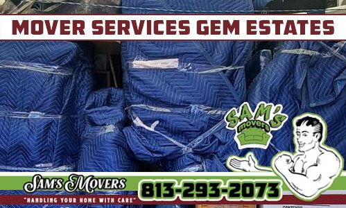 Samsmovers's tweet photo. 813-293-2073 Retirees love the Sam's Movers crew, even in Gem Estates.
#MoverGemEstates #MoversGemEstates #MovingCompanyGemEstates
#Mover #Movers #MovingCompany #GemEstatesFL #PascoCounty
https://t.co/H4SqsYoxR4 https://t.co/spHtF673bR