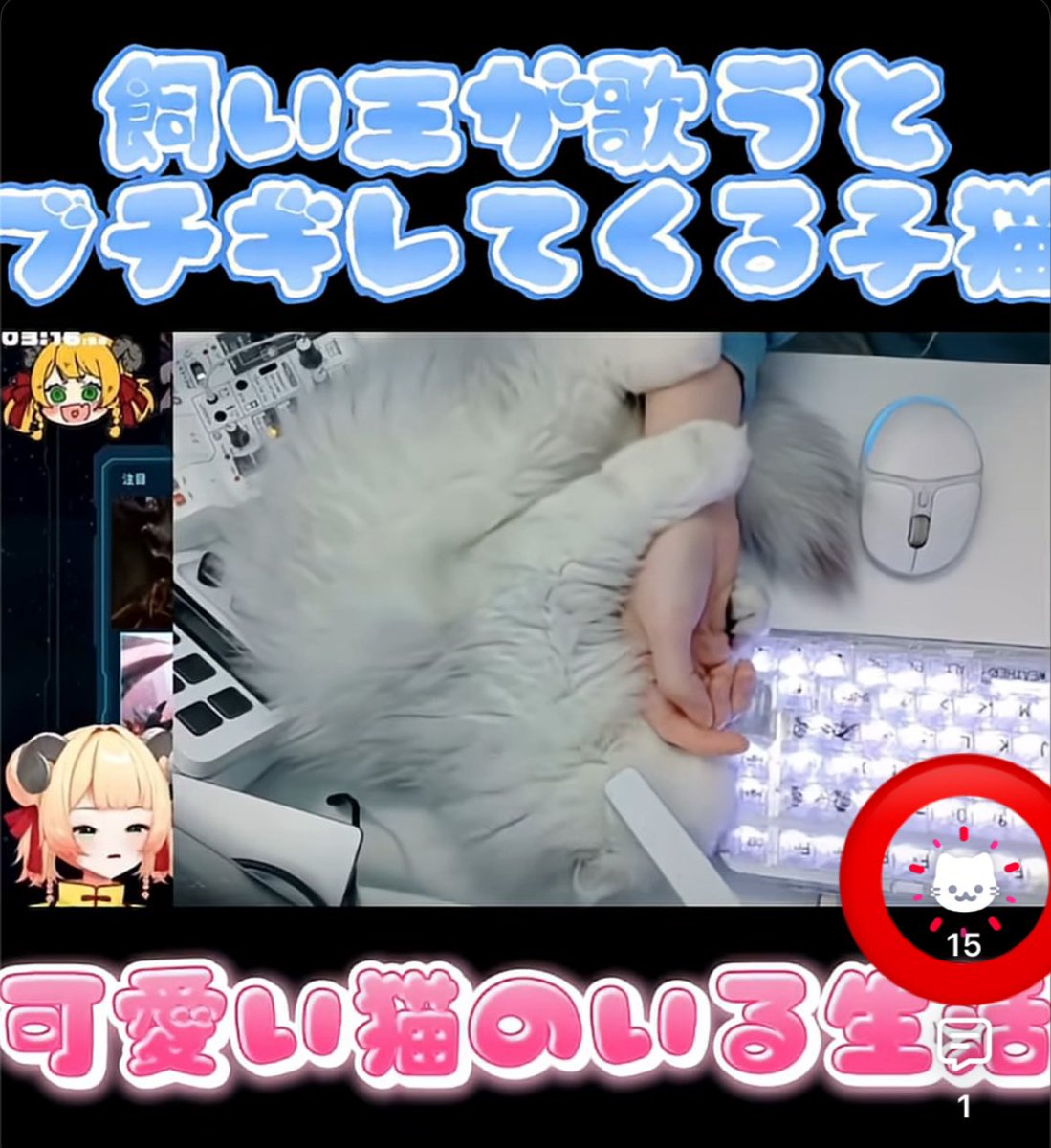 あもこ 甘乃あもこ💛🌈🥖🌟 (@amoko_official) / Posts / X
