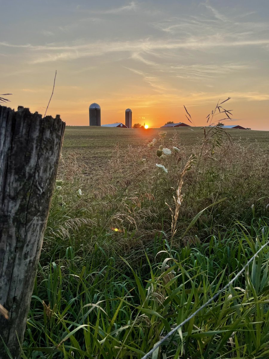 johndeeredr's tweet photo. View from the barn door…. https://t.co/wo4gOBu8nm