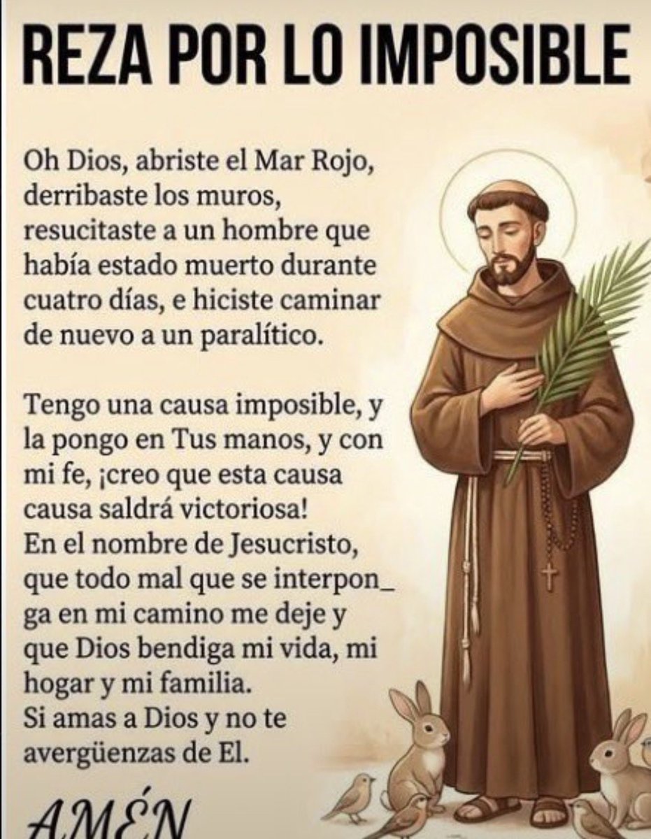 frasescatolic00 tweet picture