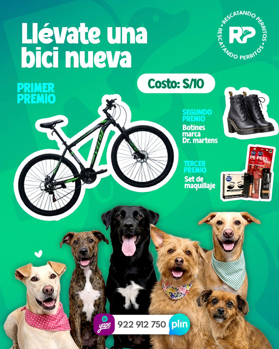 peravi's tweet photo. 🎟️🐾 RIFA SOLIDARIA 🐾🎟️
💰 Valor del número: S/10.00 soles 

📲 Yape/Plin: 922 912 750

🏦 BCP 191-12167672-0-76
Cci: 00219111216767207659

❤️ No es solo una rifa, es una oportunidad de cambiar la vida de uno de nuestros perritos que necesita ayuda.

¡Compra tu número, participa y ayúdanos a seguir salvando vidas! 🐶🐾