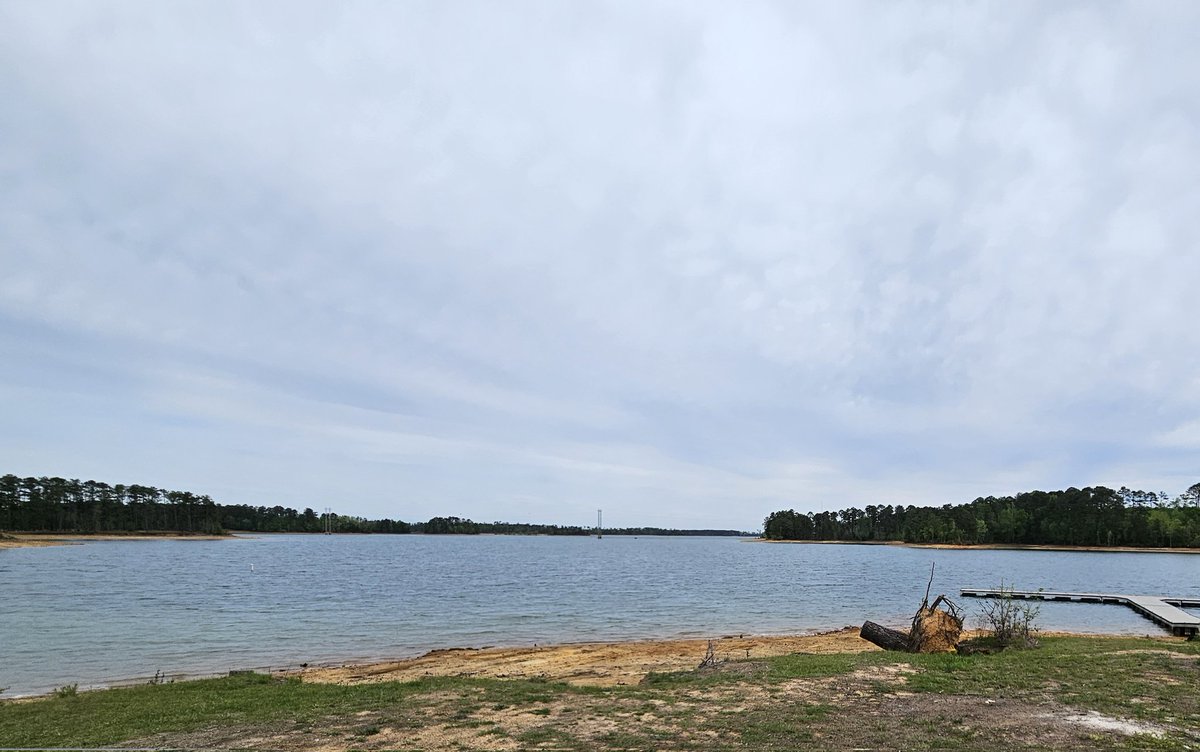 FishHandbook's tweet photo. Weekends are for anglers to go to the lake.

#Fishing #Lake #Outdoors #Weekend https://t.co/FBYqevypir
