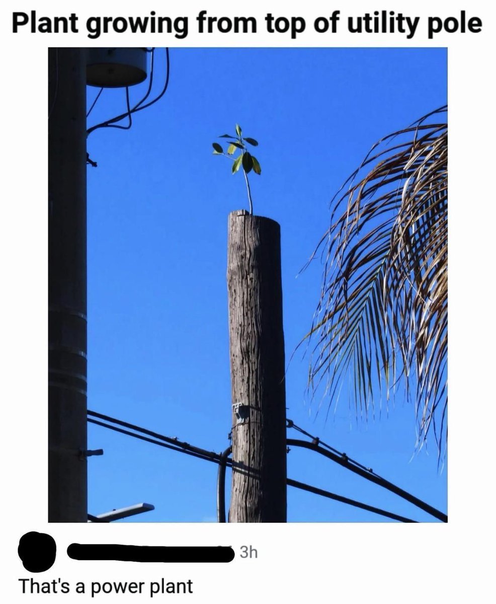WholesomeMemes tweet media