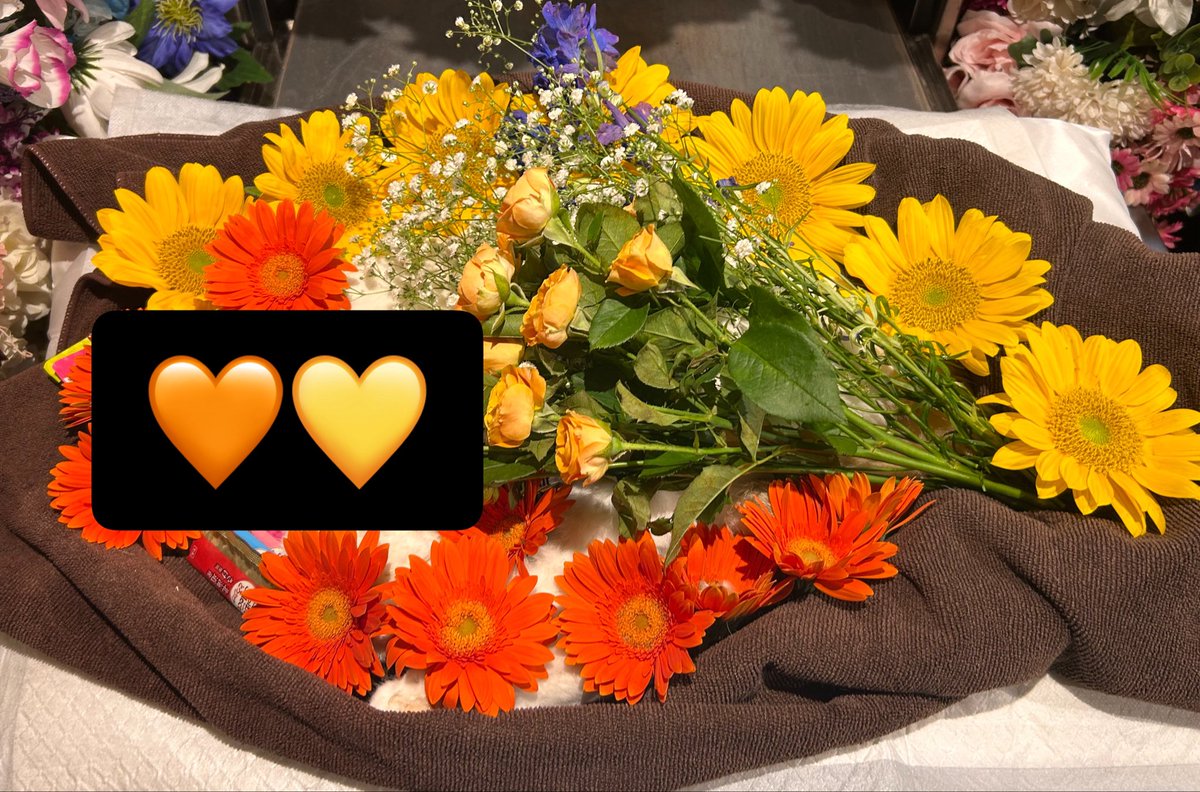 Soleil_Tiare's tweet photo. いってらっしゃい🐈🌈 https://t.co/AHOQwDv5Vn