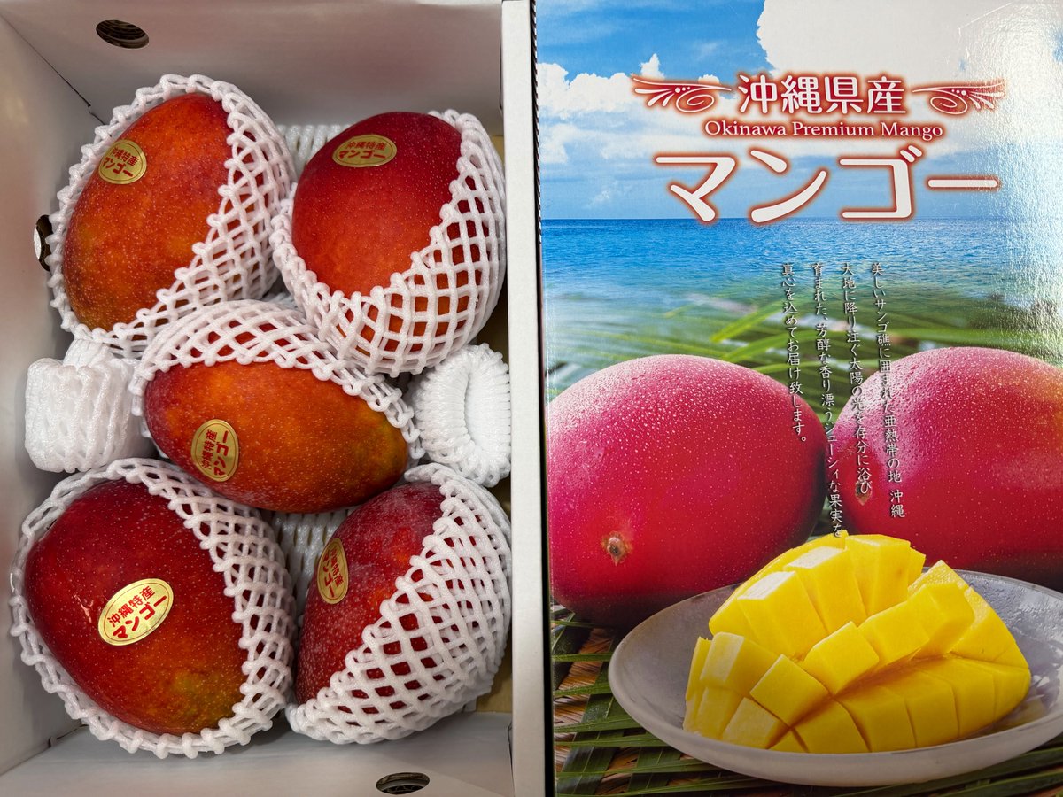 マンゴーありがとう！ マンゴー最高🙌 ＃お中元2026