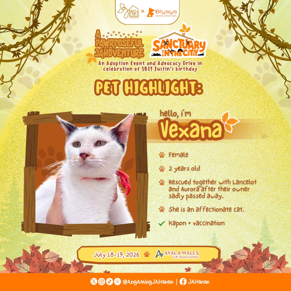 AngAmingJAHanan's tweet photo. 𐙚𓃠 MORE ADOPTABLE FUR BABIES TO MEET 𐙚𓃠

The introductions continue... meet Aurora, Vexana, Lancelot, and Benz! (•˕ •マ

Every rescue has their own personality—you just have to meet them to find your match because they're ready to be adopted! Visit today to get to know them more. 🥰

See you at Ayala Malls UP Town Center (phase 2, fronting Mothercare) today and tomorrow for JAHanan and Biyaya's Sanctuary in the City: Adoption Event and Advocacy Drive! The fur babies can't wait to find their furr-ever best furr-iend. ≽(• ‌⩊ •‌ マ≼

#aPAWrposefulJAHdventure
@justintdedios #justin #SB19_JUSTIN
