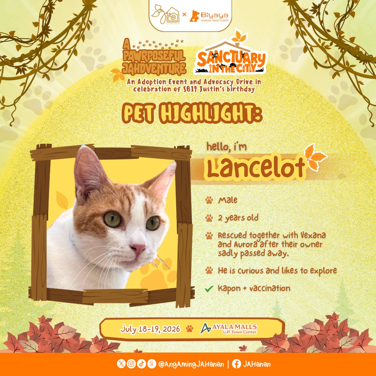 AngAmingJAHanan's tweet photo. 𐙚𓃠 MORE ADOPTABLE FUR BABIES TO MEET 𐙚𓃠

The introductions continue... meet Aurora, Vexana, Lancelot, and Benz! (•˕ •マ

Every rescue has their own personality—you just have to meet them to find your match because they're ready to be adopted! Visit today to get to know them more. 🥰

See you at Ayala Malls UP Town Center (phase 2, fronting Mothercare) today and tomorrow for JAHanan and Biyaya's Sanctuary in the City: Adoption Event and Advocacy Drive! The fur babies can't wait to find their furr-ever best furr-iend. ≽(• ‌⩊ •‌ マ≼

#aPAWrposefulJAHdventure
@justintdedios #justin #SB19_JUSTIN
