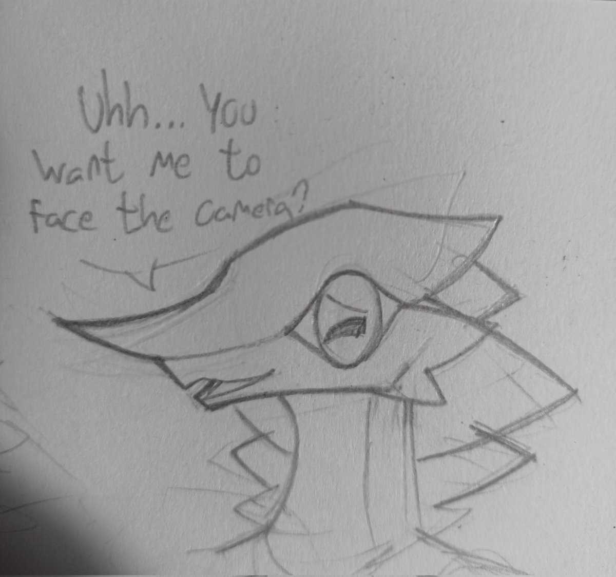 Da_Waffle_Demon's tweet photo. My attempt at drawing front facing chameleos https://t.co/tDoWwNYyAW