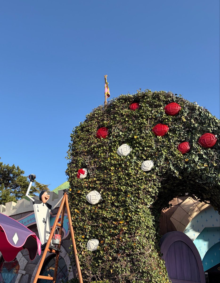 rateshiba's tweet photo. バラ塗ってる姿が最高🤍🌹
 #アリス #ディズニー好きと繋がりたい #ディズニー https://t.co/KxkaXGgDJi
