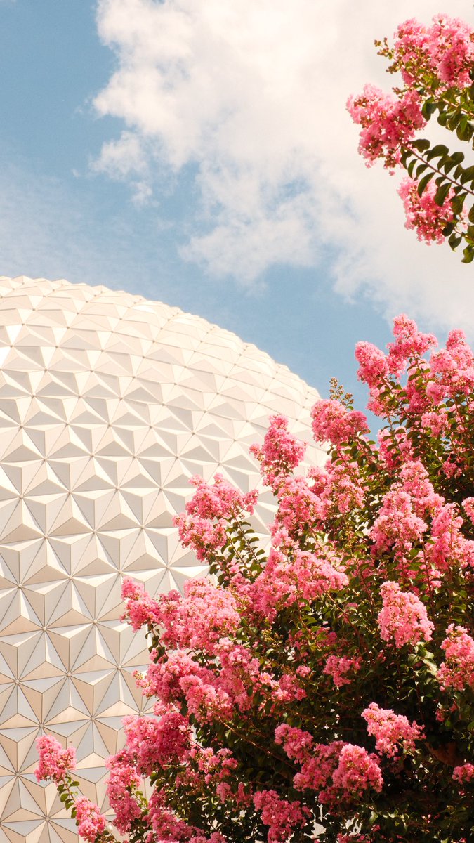 theparksphoto's tweet photo. If anyone’s looking for a new Epcot wallpaper… 👀 https://t.co/stnu8mJvrI