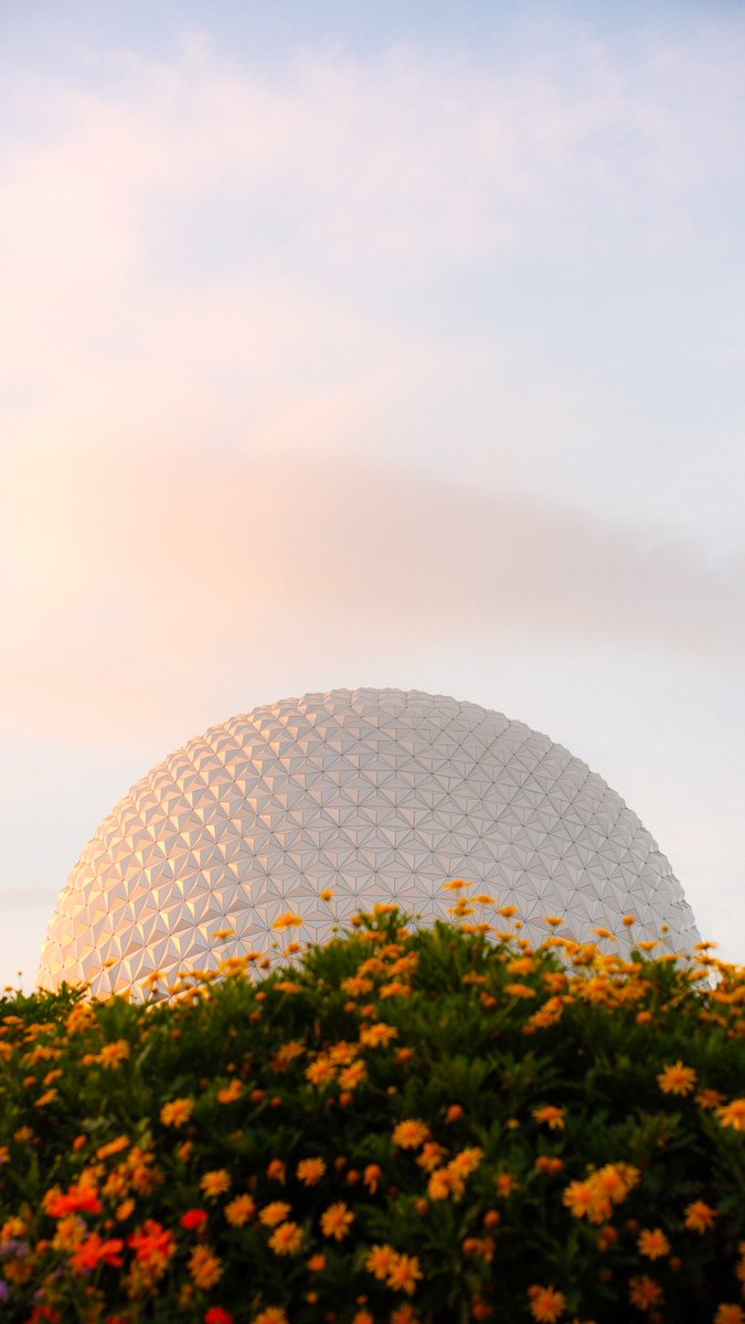 theparksphoto's tweet photo. If anyone’s looking for a new Epcot wallpaper… 👀 https://t.co/stnu8mJvrI