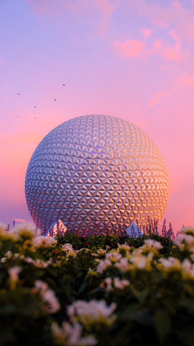 theparksphoto's tweet photo. If anyone’s looking for a new Epcot wallpaper… 👀 https://t.co/stnu8mJvrI