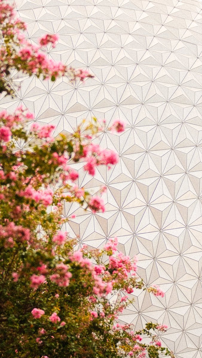 theparksphoto's tweet photo. If anyone’s looking for a new Epcot wallpaper… 👀 https://t.co/stnu8mJvrI