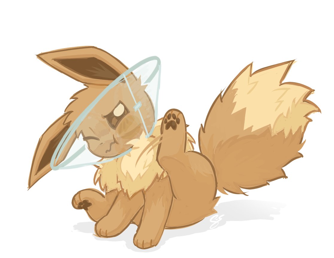 SugarSylvie's tweet photo. Eevee in a cone https://t.co/gBiycf83Fh