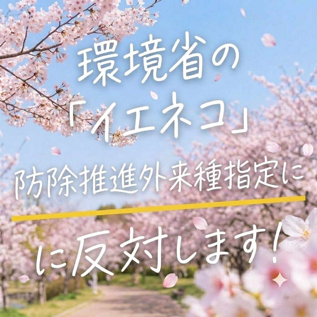 ZP9YKVQxD9Gy6Cv's tweet photo. @everyanimal_eva #環境省 の「#イエネコ」防除推進外来種指定に反対します！
皆さんも声をあげましょう！ https://t.co/cE5xOTkWg0