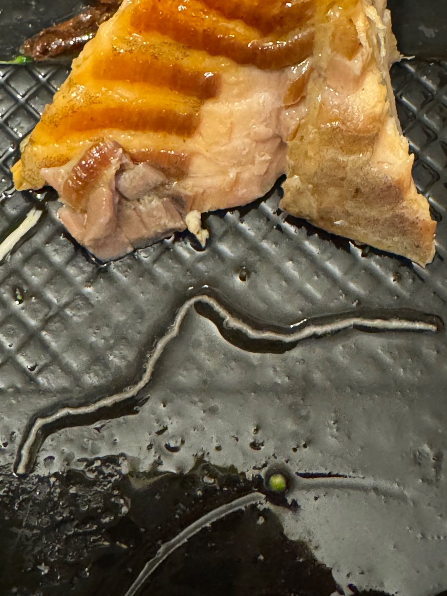 Between_my_toes's tweet photo. @olivegarden Worm in my salmon so I didn’t finish, broccoli undercooked and brown so gave it to my dogs, and the pasta fagole tasted completely watered down??? Gross!!! What is going on??  #olivegarden https://t.co/oiXEYzfpEv