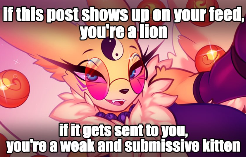 Digi ✨️💕 tweet media