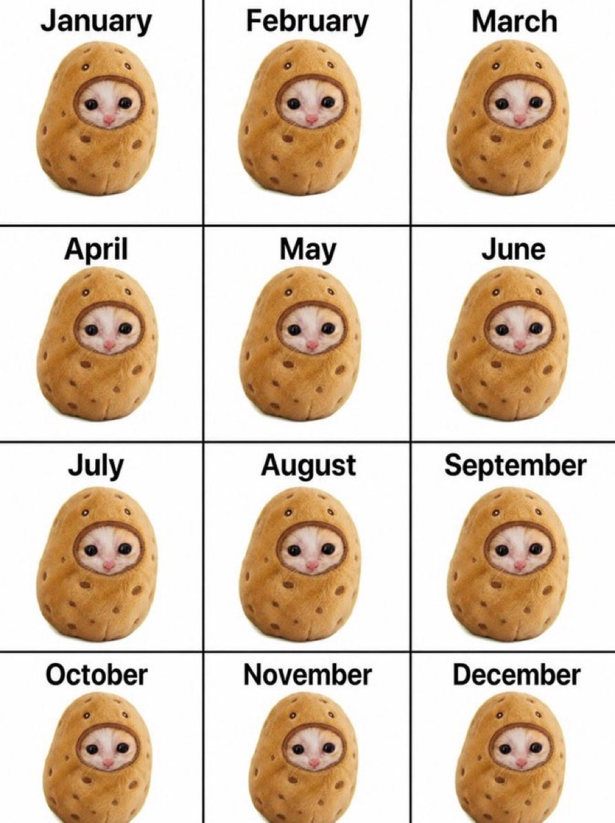 ITS_C4__'s tweet photo. Animal coins multiple ones

Running 5-10M

And you fading $potato with the owner onboard and working hard going viral on his x acc. https://t.co/EdGPR4w9fR