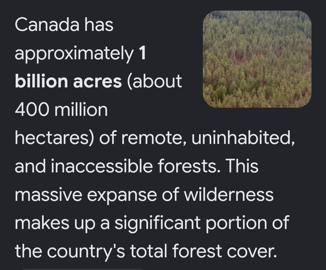 Lydia Purple 🇨🇦 tweet media