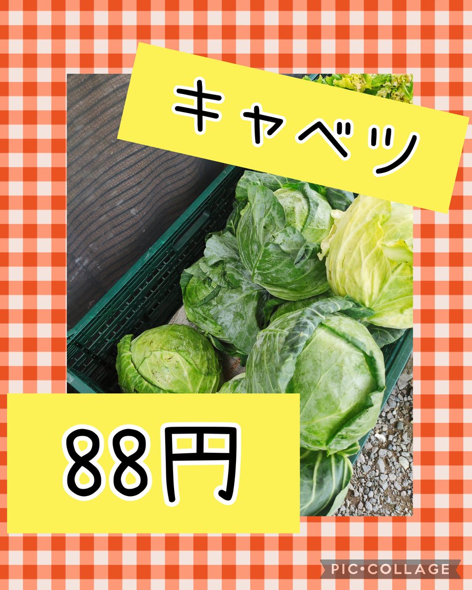 nakachan404080's tweet photo. 2026/07/18
おはようございます😊☁
今日は過ごしやすい気温ですね😊
お昼からは雨の☔予報。
お買い物はお早めに！
土曜市!!推しは画像で( •̀ᄇ• ́)ﻭ✧
この他、曲がりきゅうり、箱トマトもお買得にご用意してます🥒🍅
お待ちしてまーす🤗 https://t.co/rw2V7MYLC9