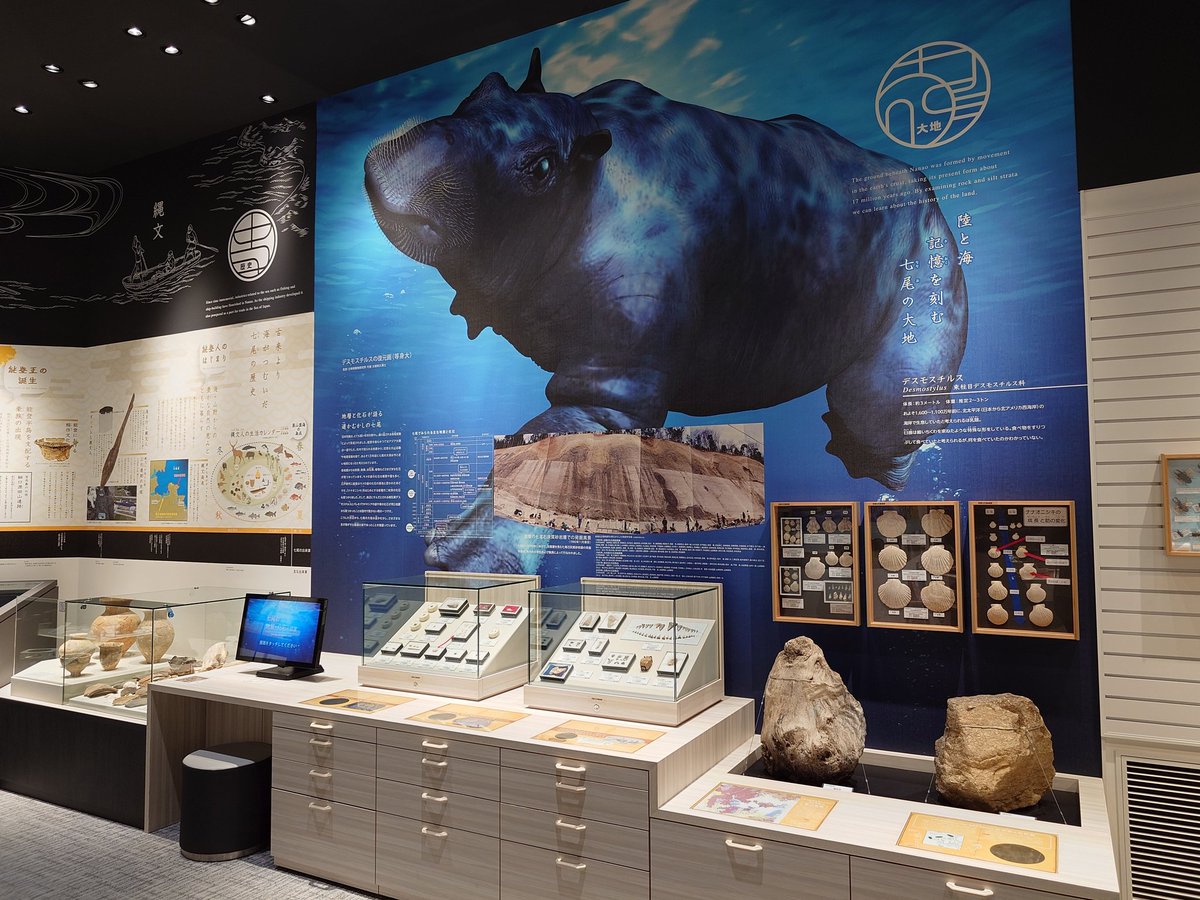 LLq9qd's tweet photo. 今回の旅先でよく見かけたものその2。
行きは能登辺りから帰りは伊達市辺りまでで何回も見た。ナウマンゾウはどこでも見かける印象があったけど海獣系は西日本だとあまり見かけない気がする。 https://t.co/LivPsmZ3zv