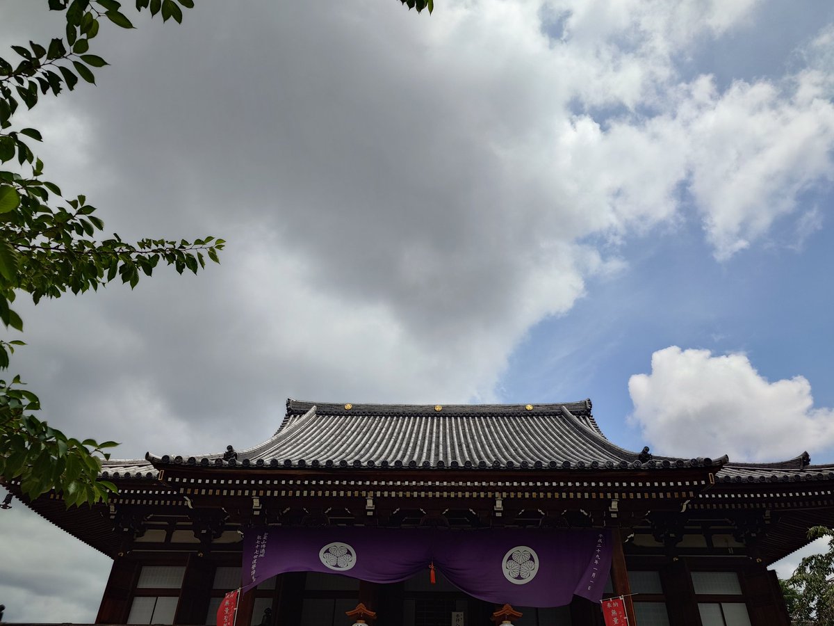 novinekosan's tweet photo. 傳通院の朝顔、鬼灯市(*´ω｀*) https://t.co/Pyd6EQD1IN