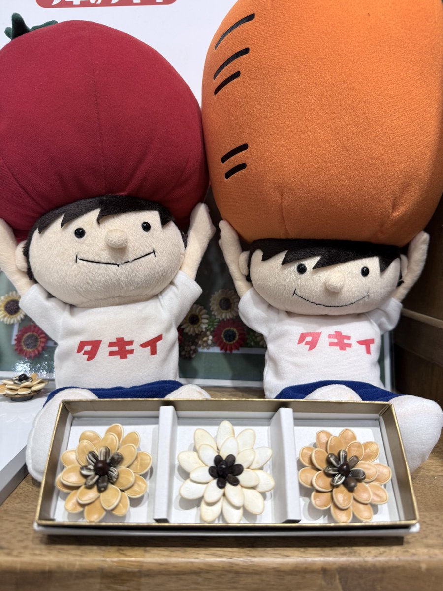 joyo_kodomo's tweet photo. 本日、こもれび森のイバライドで『親子でワークショップ』開催です！
🌻タネで作るフラワーマグネット🌻

🏠街エリアの休憩所
11時〜満席
13時〜空席あり
14時〜空席あり
🌻体験無料

ぜひ立ち寄ってみてください😊 https://t.co/VcGk6mNNru