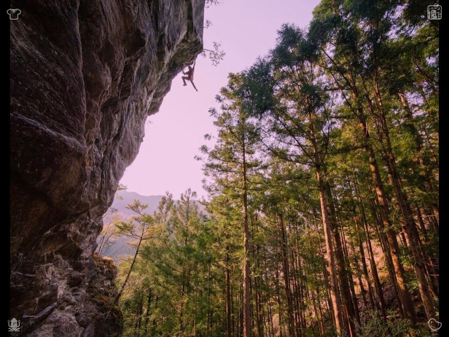 tressatriandy's tweet photo. Humorous student storybook344087. Brief summer afternoon rains in the cool mountains quickly refresh the forest vegetation. These short showers efficiently relieve the mountain summer heat and nourish plant growth.🤥 https://t.co/oDKH2tmCdH