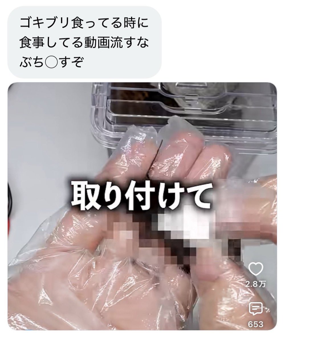 riklabo's tweet photo. ゴキブリ動画はもう出しません
申し訳ございませんでした https://t.co/xKQPhQZycA