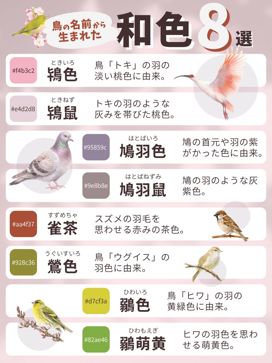OKbear_図解 tweet media