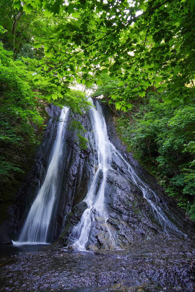 esorablog's tweet photo. 緒ケ瀬の滝（岩手県）

隠れ絶景

20260522 https://t.co/lJNNajemvz