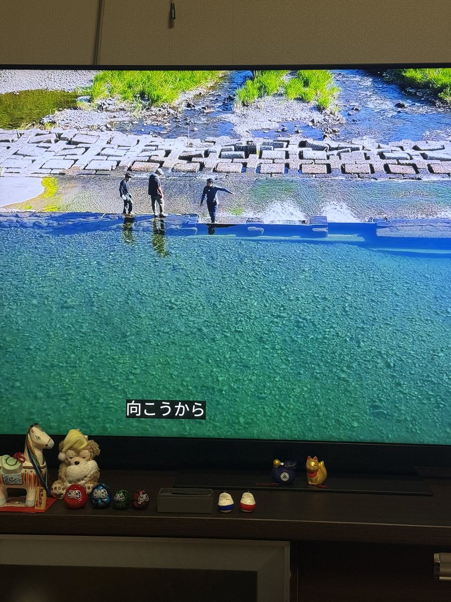よいち (@Cg8fA28MG1Dty5i) / Posts / X
