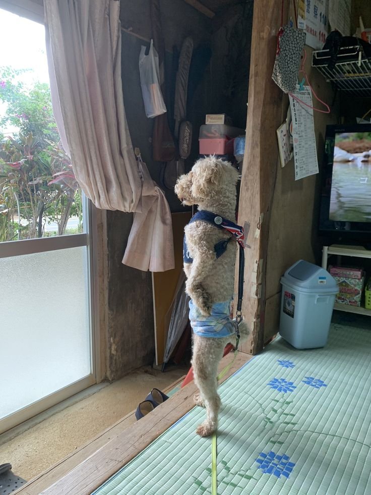 dudyoji's tweet photo. 이사진 뭔가 우리아빠같음 https://t.co/wmofXyb7jL