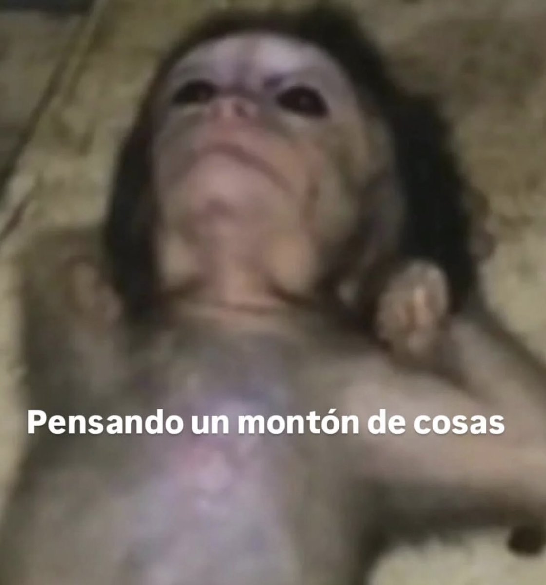 cxrrly's tweet photo. Ando en esta https://t.co/QZcKtPBOld