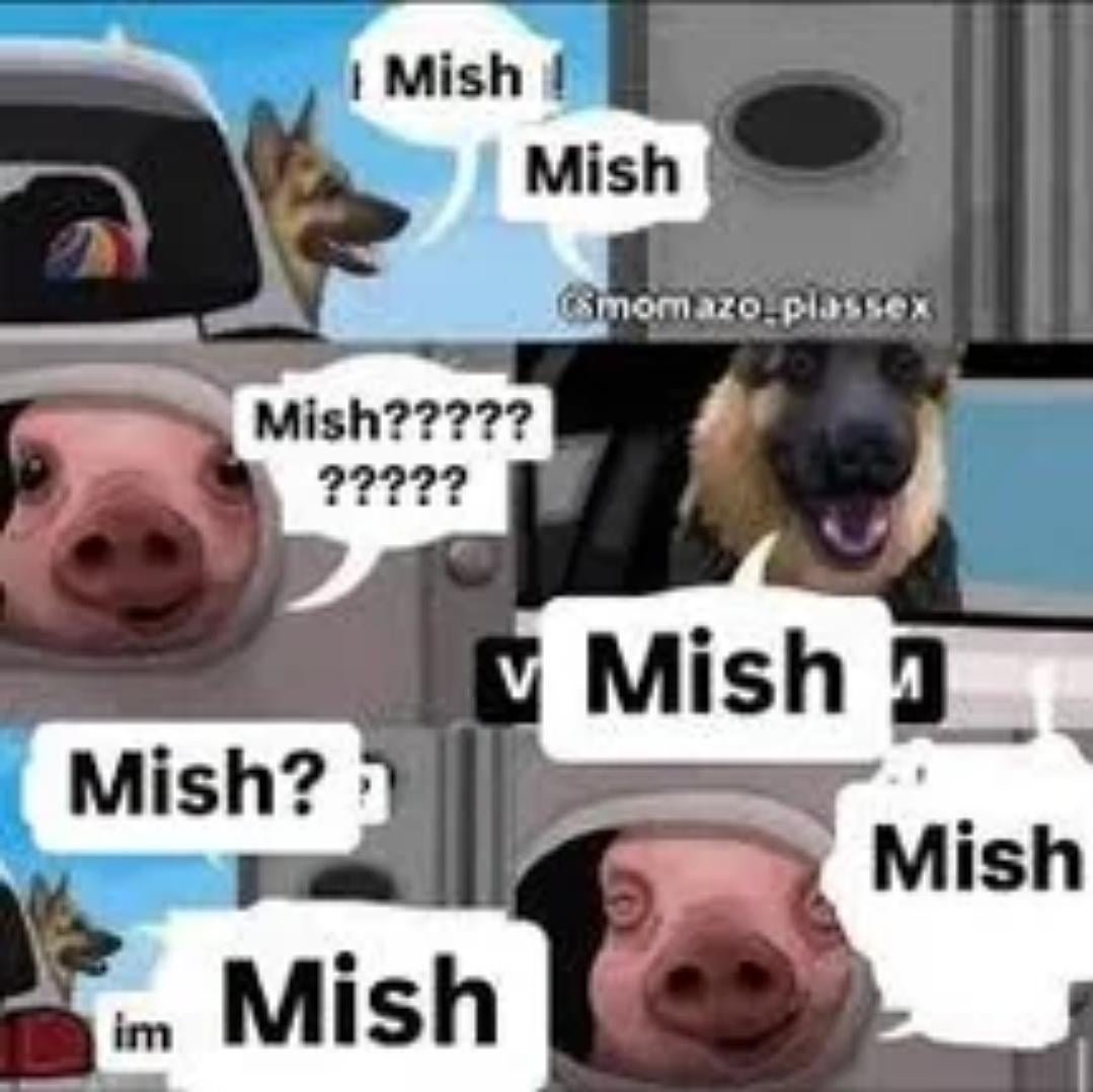 Ámbar 🧩👤 tweet media