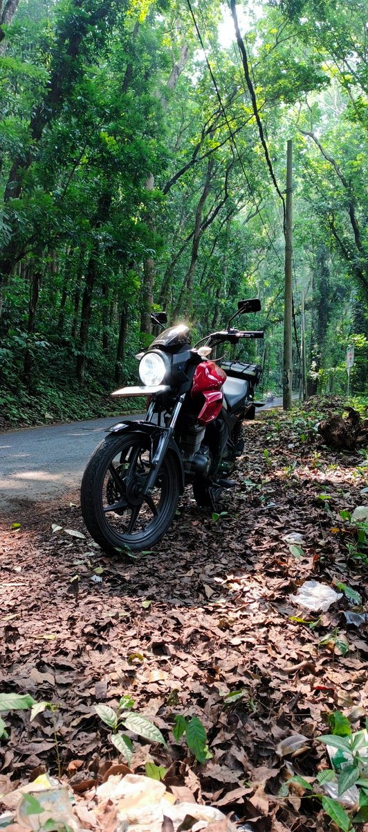 satuenon's tweet photo. Beautiful spot
#pandeglang https://t.co/ZYpgWFKxoP