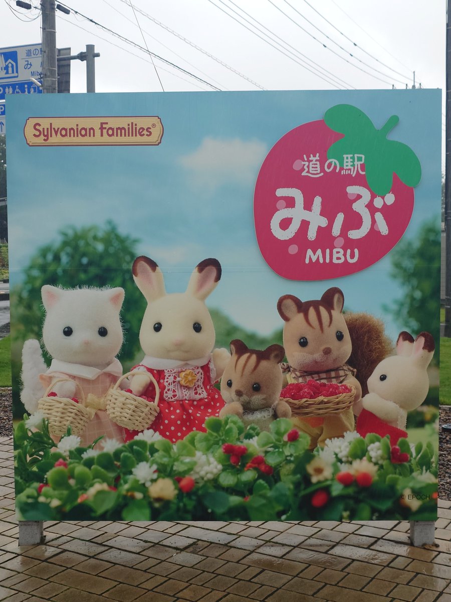 2ndgezi's tweet photo. 本日はこちら https://t.co/CFOxg3Nt07
