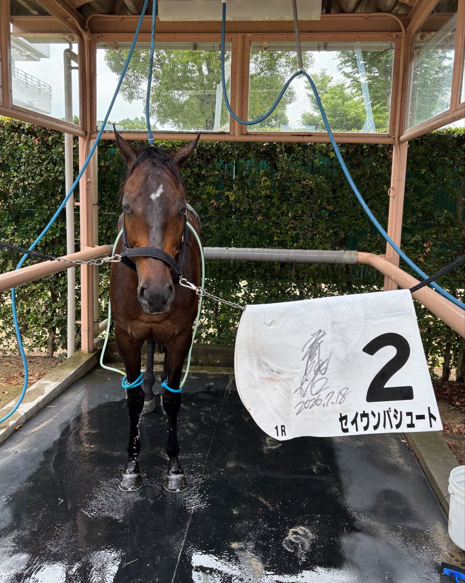 ueharastable's tweet photo. 現地よりパシュート🍀
おめでとう〜 https://t.co/MsLhspufFi